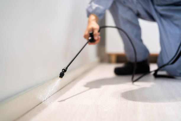 Licensed Pest Control service in La Fayette, AL - Show Me Pest Control