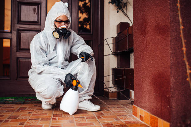 Reliable Ant Control contractor in La Fayette, AL by Show Me Pest Control